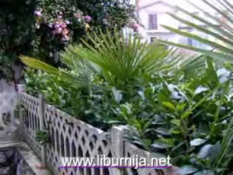 Liburnija.net TV - Sneh - Volosko