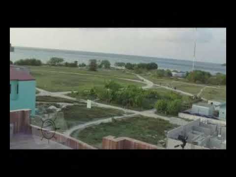 Fini fini roalhi vayaa