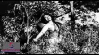 Bole Pihu Pihu Pi Papihara - Lata Mangeshkar - EK GAON KI
