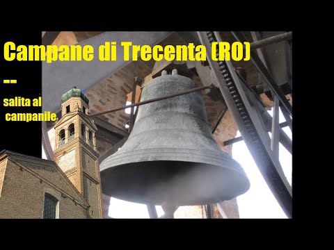 Campane di Trecenta (RO) - salita al campanile
