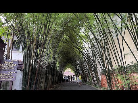 [8ª viagem à Tailândia com AirAsia: Bangkok e Chiang Mai ③ Chiang Mai]