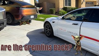Model Y Juniper Door/Window Malfunction: Tesla Mobile Service Does Initial Diagnostics