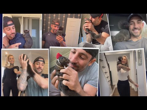 Peanut the Squirrel Was Euthanized