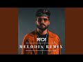 Melodia Remix Radio Edit von NRD1 Topi