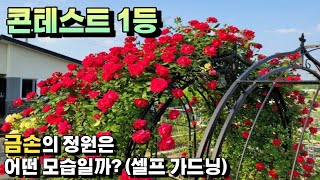 귀촌 4년차 금손의 정원은 어떤 모습일까요?(금손 : 손재주가 뛰어난 사람을 뜻함)