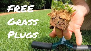 How to Plant Lawn From Plugs // ProPlugger // DIY Grass Plugs // Zenith Zoysia Grass Plugs