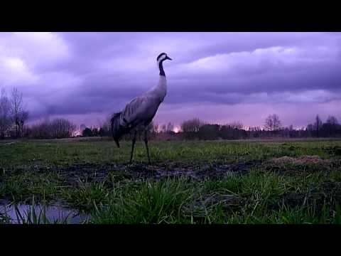 Wieczorem na naszej polanie - Agroturystyka Relax