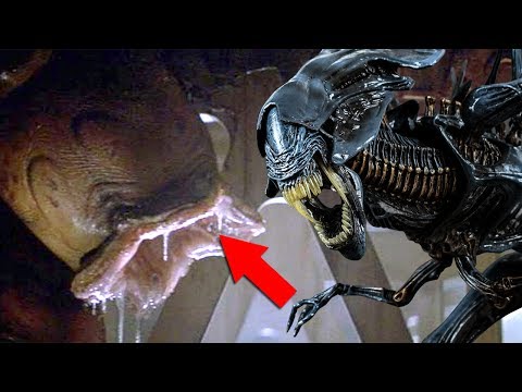 How did the ALIEN EGG get on the SULACO?