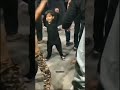 Cute Boy Doing Azadari Kya Muhammad SAW Ka Pyara Nahi Hoon Muharram Status