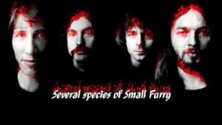 Pink Floyd-Several species of Small Furry.(HQ Audio)