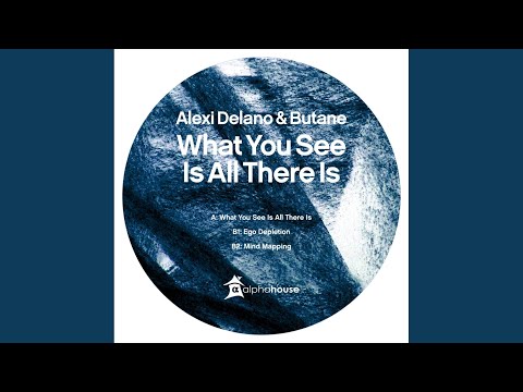 What You See Is All There Is (Original Mix)