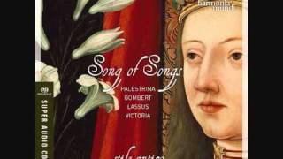 Giovanni Pierluigi da Palestrina, "Osculetur me" (Stile Antico)