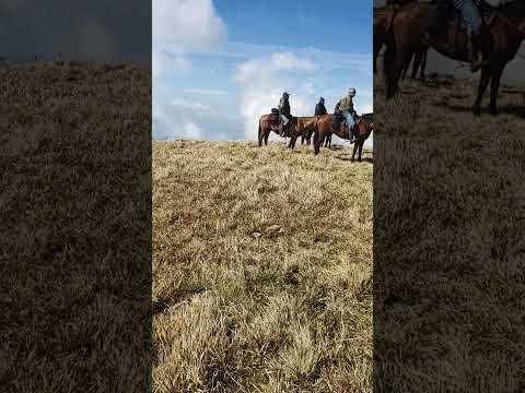 Bela Vista. O pico mais alto de SC