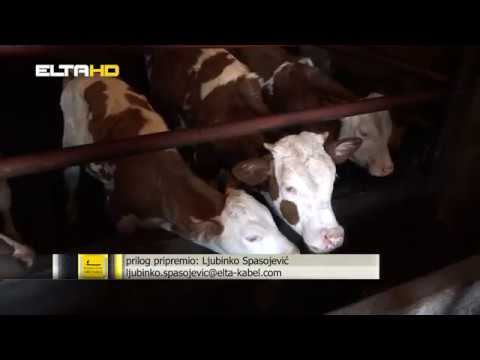 BL HRONIKA 26 06 18 - IZGRADNJA VODOVODNE MREZE