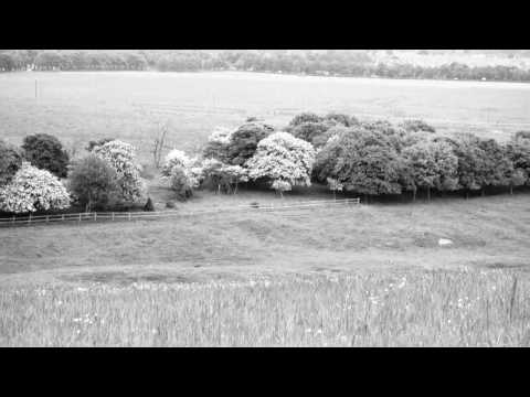 INSPECTOR FOGG - A View From A Hill