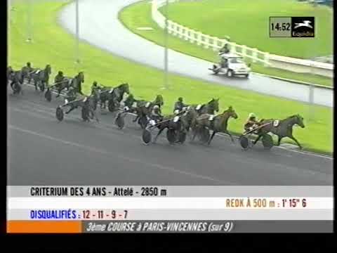 Critérium des 4 ans - Memphis du Rib