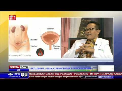 Penis besar atau kecil dalam vagina Kontol besar di sekolahan kecil
