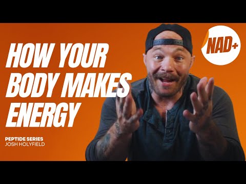 What Is NAD+? How It Works + The Complete Stack Protocol