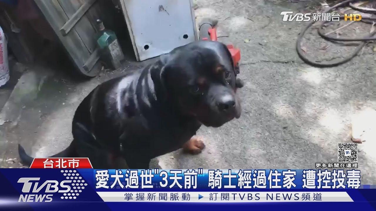 羅威那犬過世！飼主質疑被下毒　調電眼緝凶