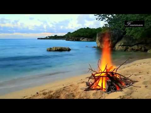 New Tiësto Summer Night Mix 2018 (Unique)