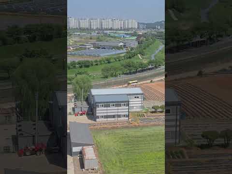 Early Summer Heat near Seoul