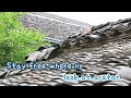 Born Free Karaoke Andy Williams