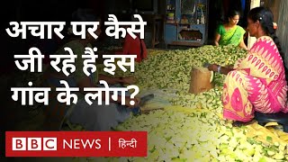 Pickle Business: अचार पर निर्भर है इस गांव की ज़िंदगी और अर्थव्यवस्था (BBC Hindi)