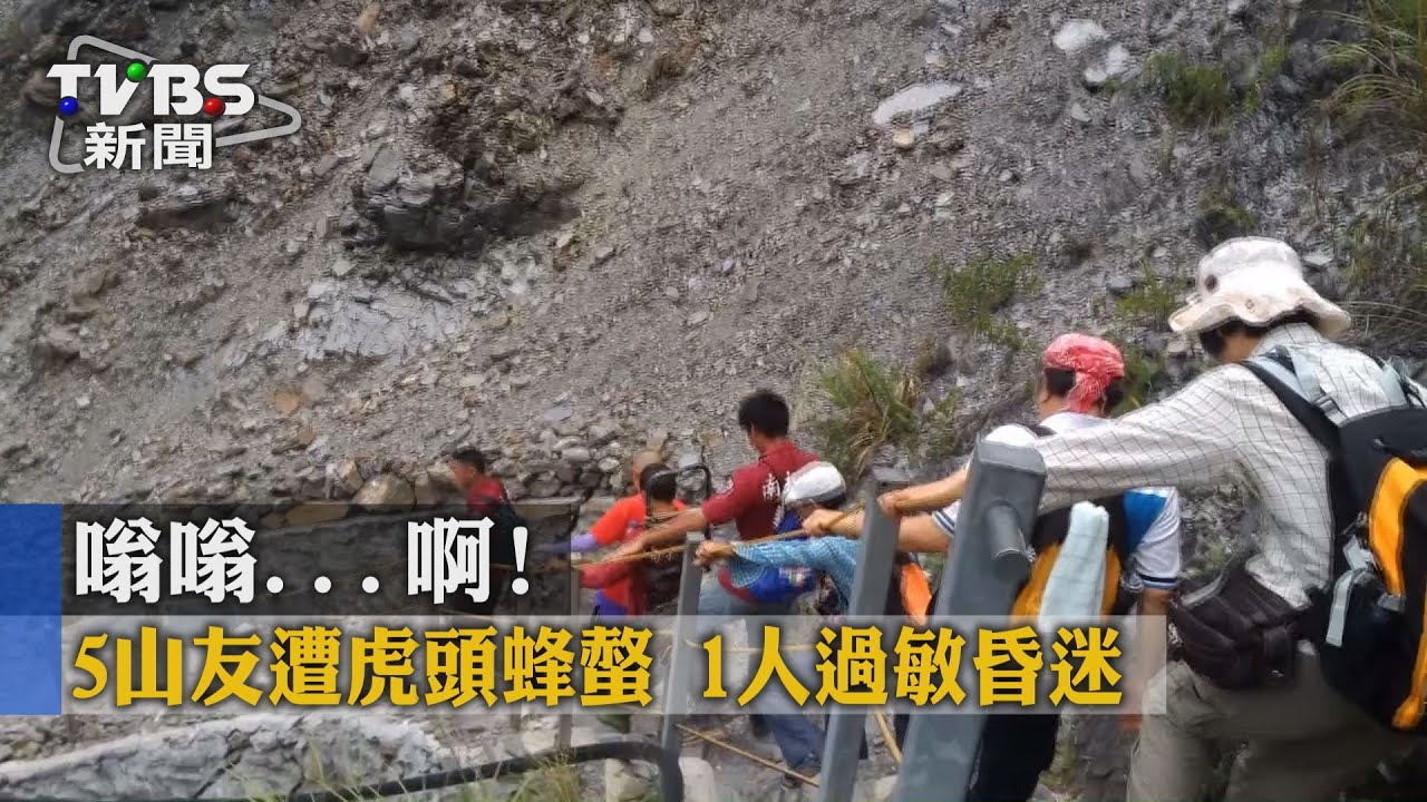 嗡嗡…啊！5山友遭虎頭蜂螫　1人過敏昏迷