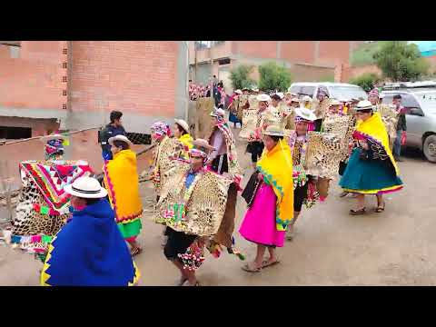 carnaval en Cosnipata 2025 provincia muñecas, municipio Aucapata,La Paz Bolivia (chutas, whipalita)