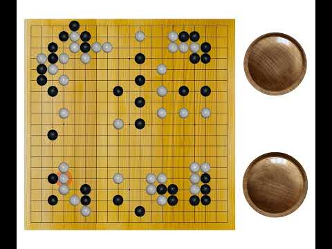 Cho Chikun(9p) - Fujisawa Hideyuki(9p), 1991-09-12, 16th Kisei, Result: B+R