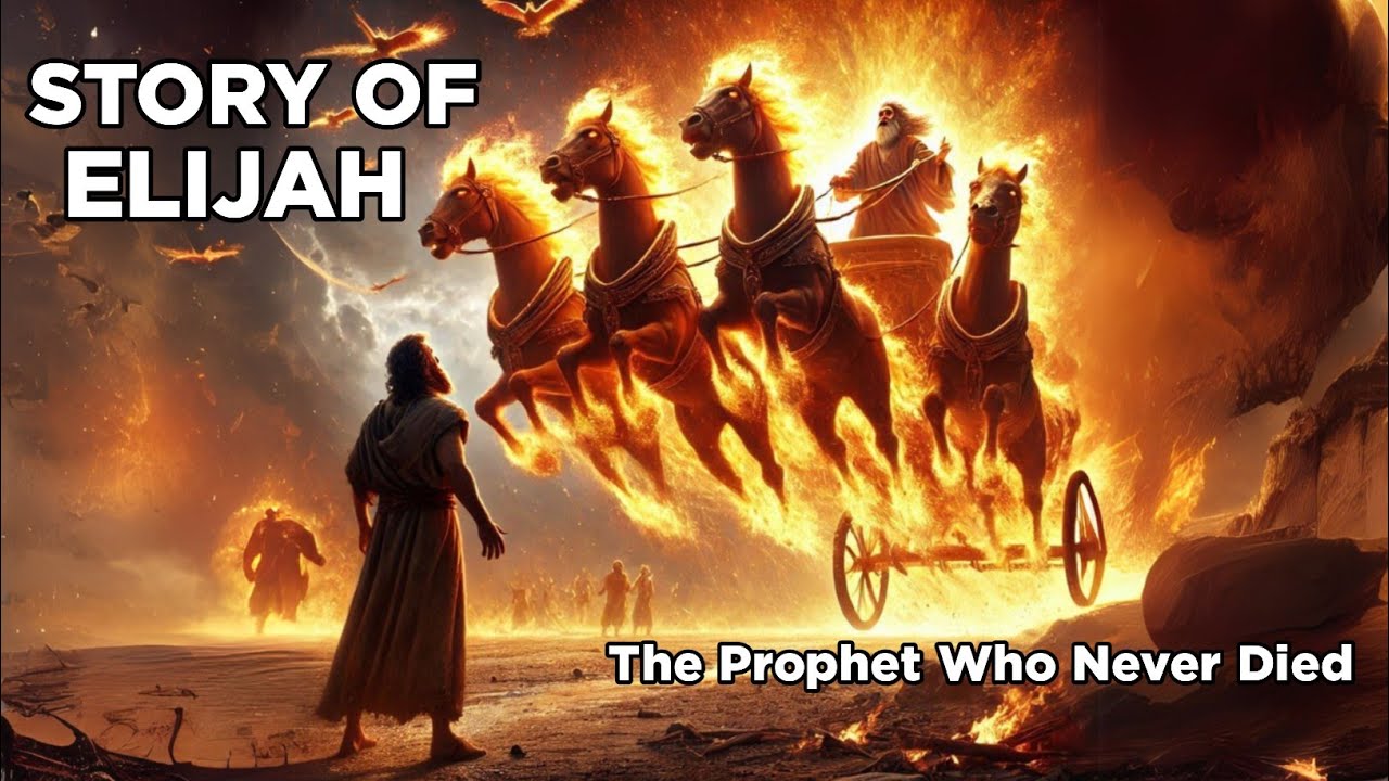 Elijah: The Prophet Who Was Taken To Heaven In A Fiery Chariot | Animated Bible Stories