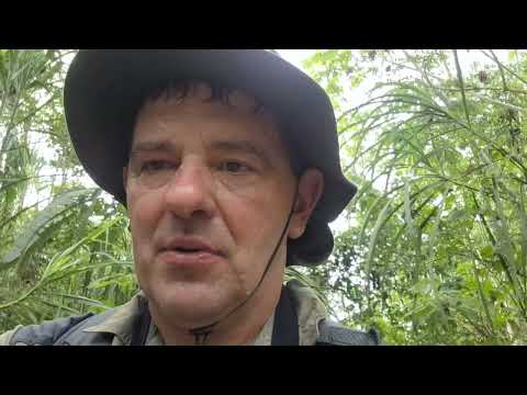 Peruwiańska Amazonia cz.2 - spływ packraftem rzeką Madre de D