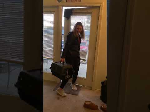 Feline Herpes Virus (201 project)