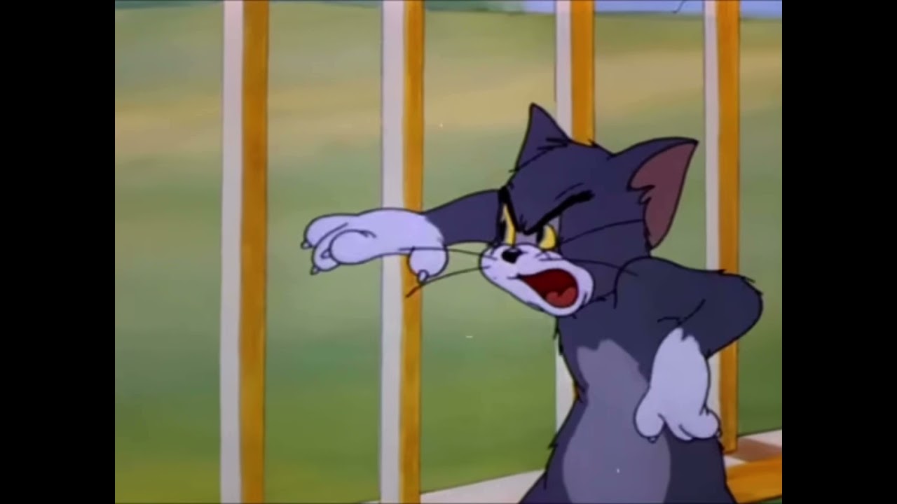 Disappointed Tom | Meme Template