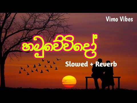 Hamuwevido || හමුවේවිදෝ || Slowed and Reverb Song || Nadeera Nonis