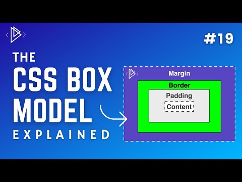 19 CSS Box Model CSS Full Tutorial