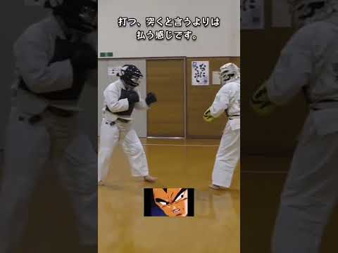 中級者への道 寄り道・フリッカージャブ編 #日本拳法 #NipponKempo #格闘技 #スポーツ #sports #shorts