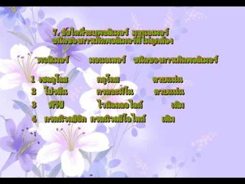 อวัยวะเพศชายขนาดเล็กสำหรับเด็ก เพิ่มสมาชิกที่ไม่เป็นอันตราย
