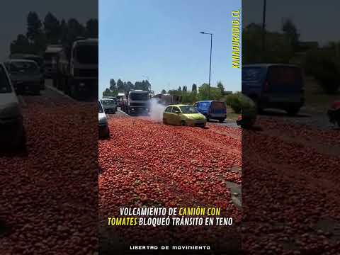 Volcamiento de camión con tomates bloqueó tránsito en Teno