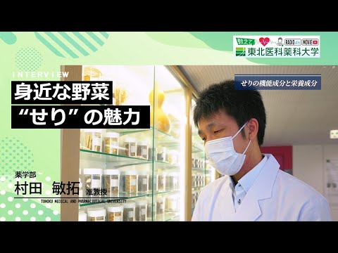 薬学科 【Radio×YouTube】教えて！東北医科薬科大学 「身近な野菜 “せり” の魅力」