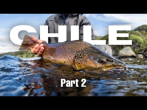 Fly Fishing Chile - Part 2: Yellow Dog Field Reports