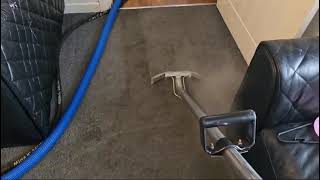 Preview of Carpet Cleaning Leigh Natalia Carpet Sheriff.