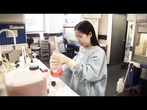 Winner - Biomedical - Levon Khachigian