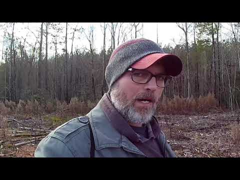 A loggers Bigfoot encounter WV 👣