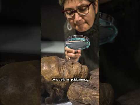 ✨ Descubrimiento Épico: La Momia de Herques Desata una Revolución Cultural en Museos 🏛️🌍 Parte I