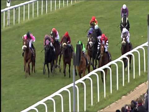 Galopprennbahn Dresden 18.11.2015 - 5.Rennen