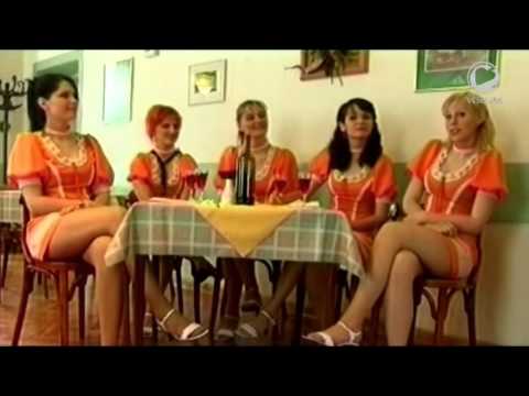 Navihanke - Dixie polka