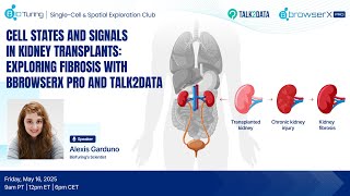 EP37: Exploring Fibrosis in Kidney Transplants with BBrowserX Pro and Talk2Data