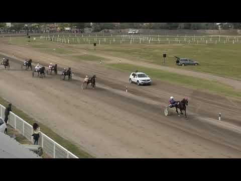 Trka "Sanders-Temerin" 11.10.2020 Amsterdam JMH - Miodrag Pantić