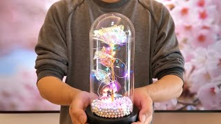 Galaxy Enchanted Rose in Glass Dome Review 2022 - Beauty and the Beast Rose